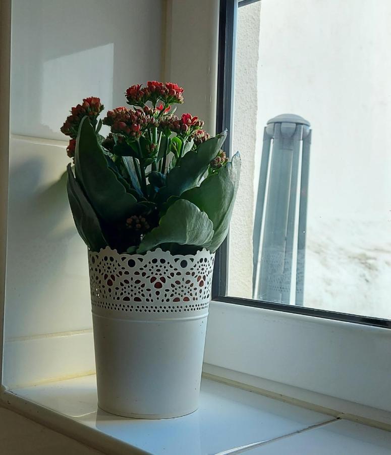 Cozy Studio In Central Lisboa المظهر الخارجي الصورة